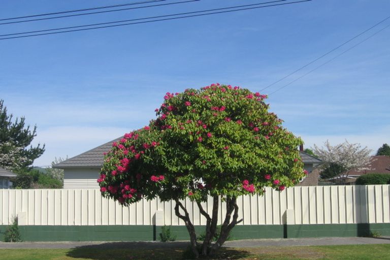 Photo of property in 9 Puriri Crescent, Hillcrest, Rotorua, 3015