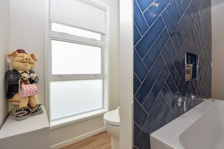 Photo of property in 9 Mervyn Brown Place, Solway, Masterton, 5810