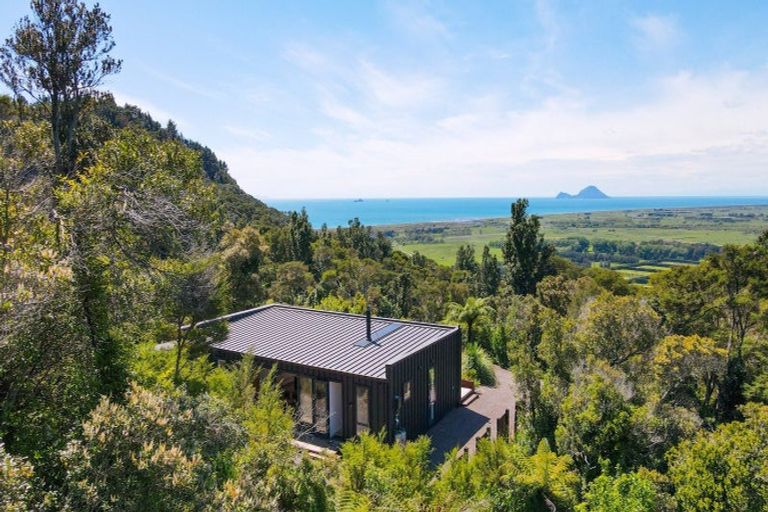 Photo of property in 229 Kokako Heights, Matata, 3194