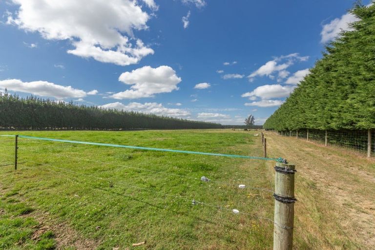 Photo of property in 1217 Hoskyns Road, Kirwee, Christchurch, 7671