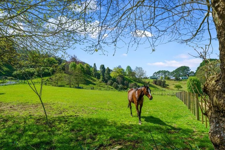 Photo of property in 780 Moonshine Hill Road, Moonshine Valley, Porirua, 5381