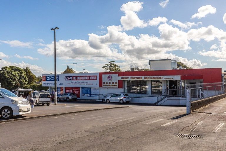 Photo of property in 511 Mount Albert Road, Three Kings, Auckland, 1042