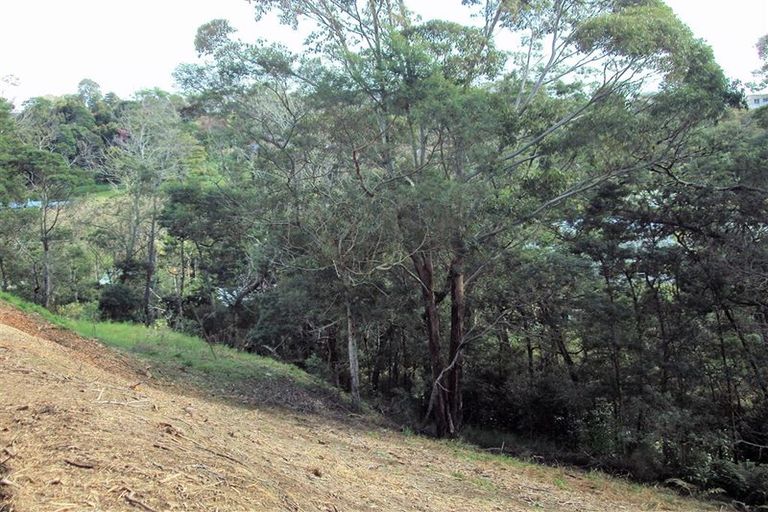 Photo of property in 46 Florance Avenue, Russell, 0202