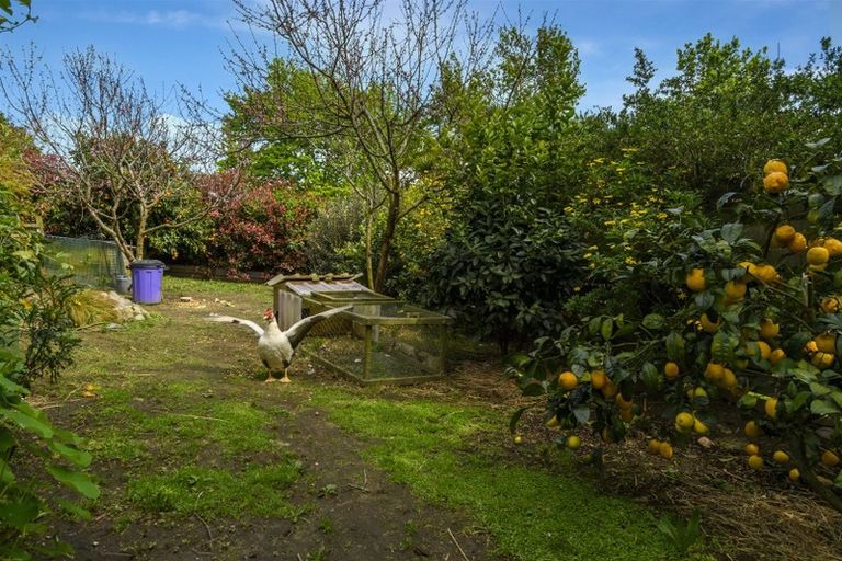 Photo of property in 15 Ward Street, Gate Pa, Tauranga, 3112