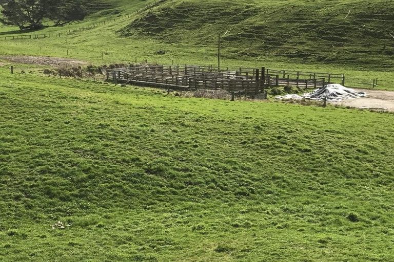 Photo of property in 274 Whakapapa Road, Ohakuri, Reporoa, 3083