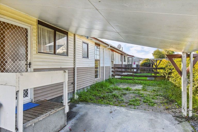 Photo of property in 12 Douglas Street, Levin, 5510