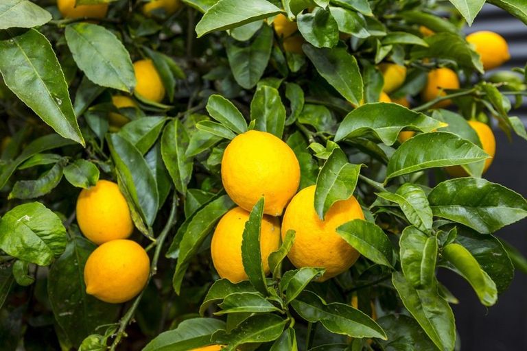 Photo of property in 2/88a Moonshine Road, Trentham, Upper Hutt, 5018