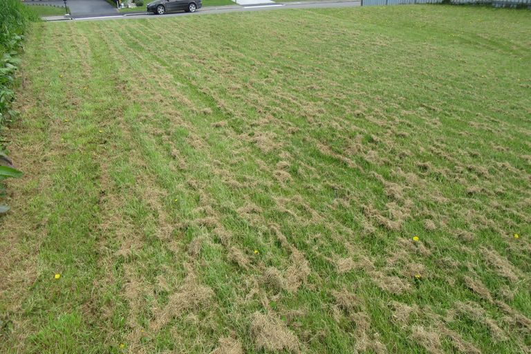 Photo of property in 2 Eric Batchelor Place, Waimate, 7924