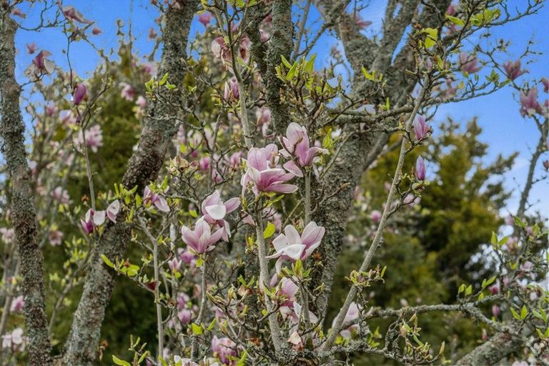 Photo of property in 25 Comries Road, Chartwell, Hamilton, 3210