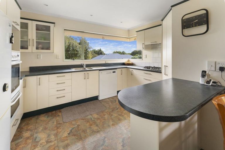 Photo of property in 98 Templemore Drive, Richmond, 7020