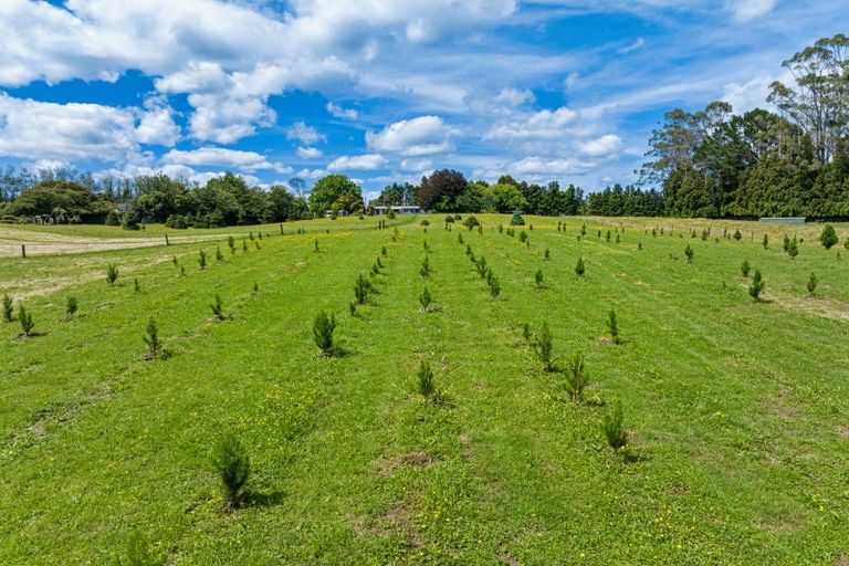 Photo of property in 1080 Omanawa Road, Omanawa, Tauranga, 3171