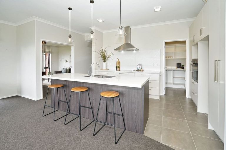 Photo of property in 31 Webster Road, Matangi, Hamilton, 3284