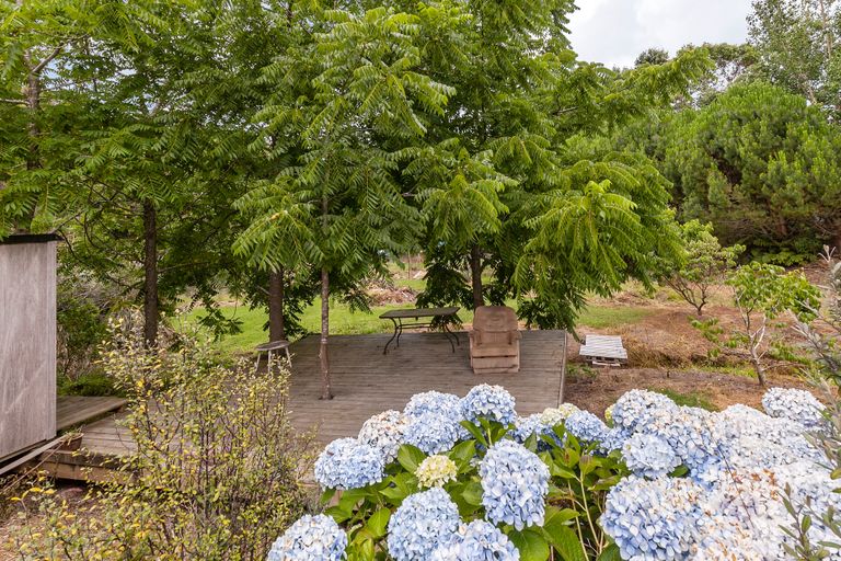 Photo of property in 950 Matakana Valley Road, Whangaripo, Wellsford, 0972