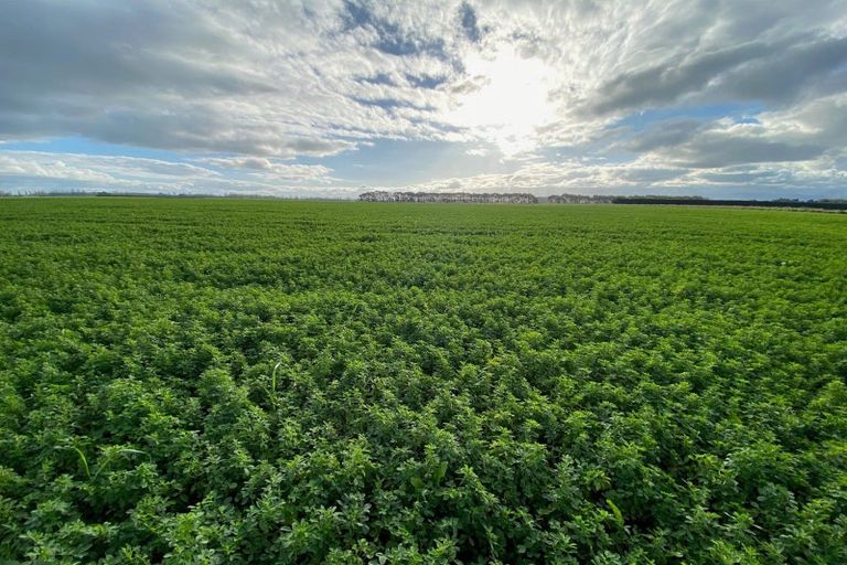 Photo of property in 197 Maindonalds Road, West Eyreton, 7475