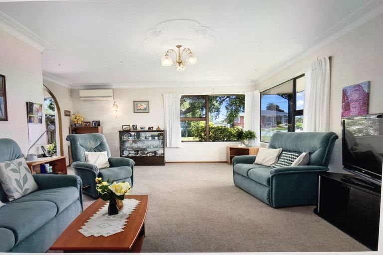 Photo of property in 81a Sixth Avenue, Tauranga, 3110