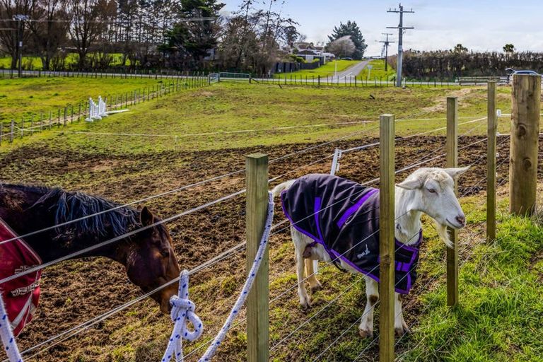 Photo of property in 29 Clifford Road, Eltham, 4322