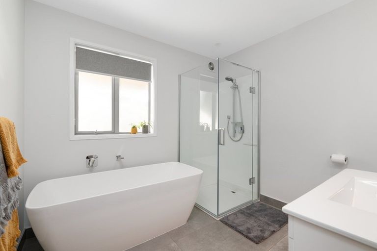 Photo of property in 55 Campbell Road, Mount Maunganui, 3116