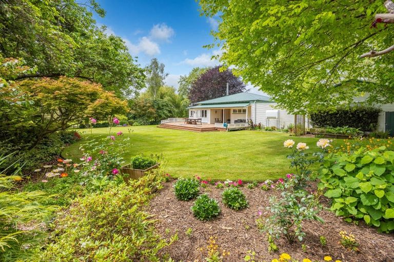 Photo of property in 590 Puahue Road, Rotoorangi, Te Awamutu, 3879
