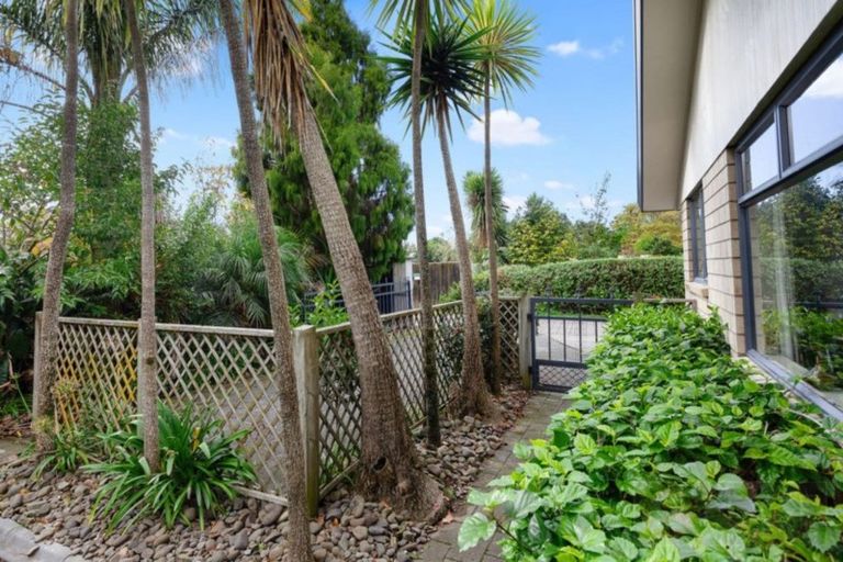 Photo of property in 55 Bridge Street, Whakatane, 3120