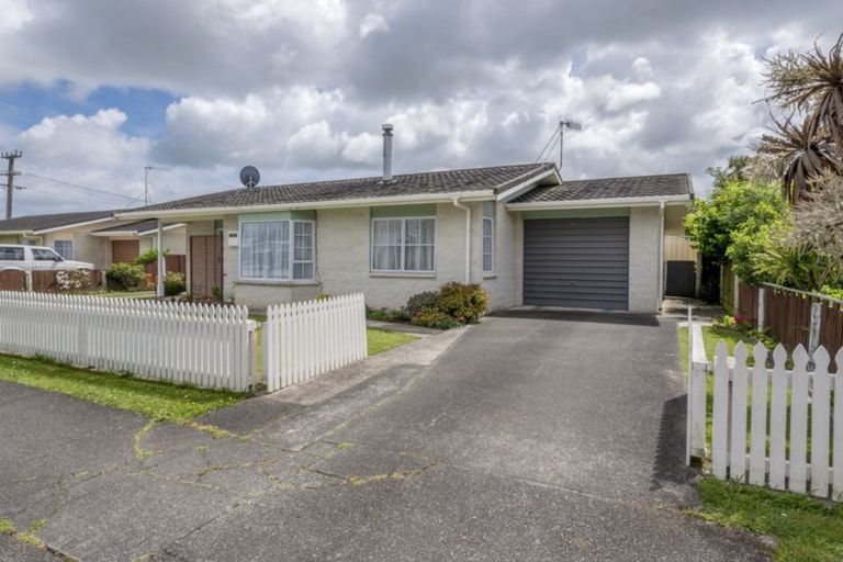 Photo of property in 73 Liverpool Street, Levin, 5510