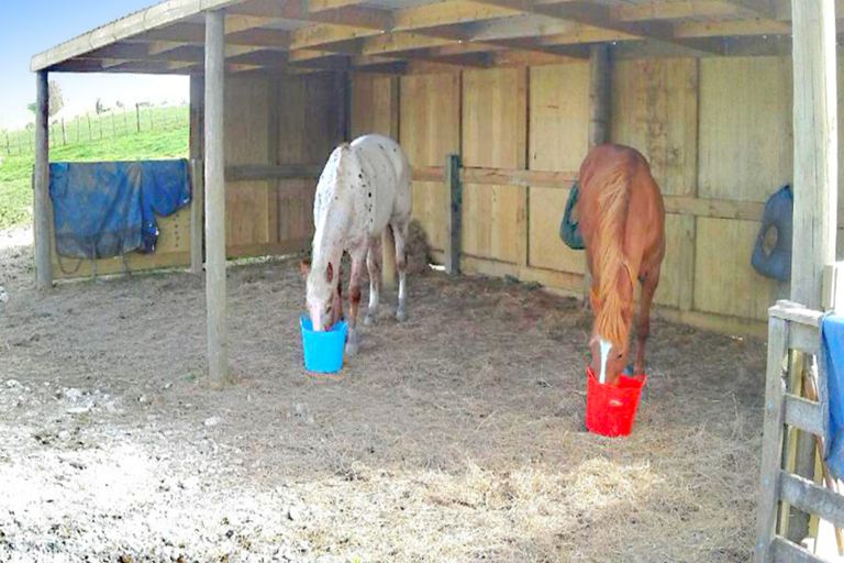 Photo of property in 533 Settlement Road, Kaiwaka, 0573