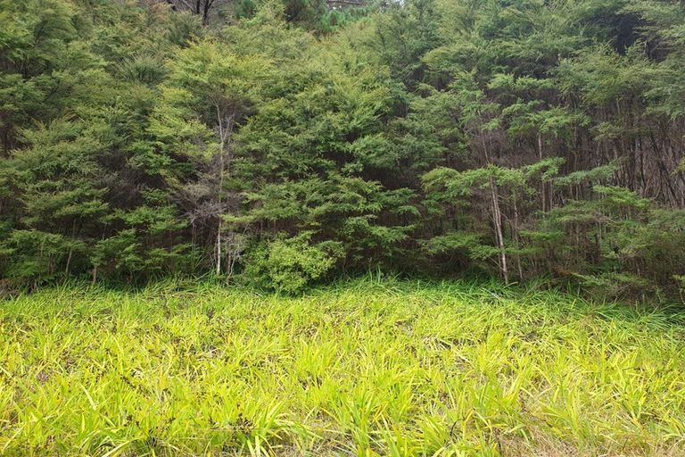 Photo of property in 980 Buffalo Road, Coromandel, 3506