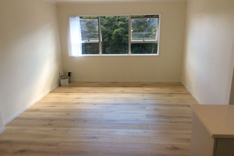 Photo of property in 17 Sapphire Place, Bayview, Auckland, 0629