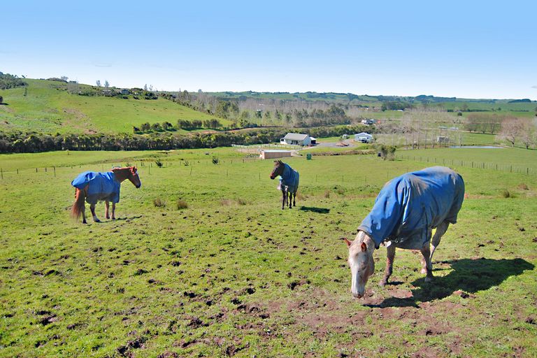 Photo of property in 533 Settlement Road, Kaiwaka, 0573