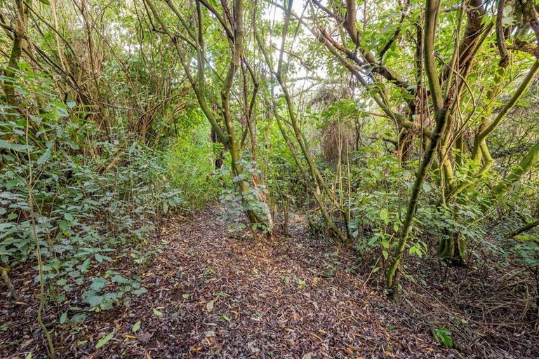 Photo of property in 302 Kuku Road East, Kuku, Levin, 5570