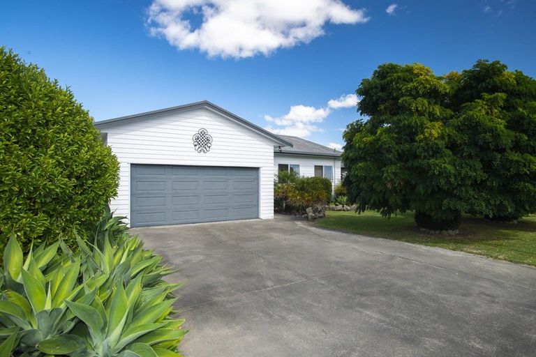 Photo of property in 390 Ormond Road, Lytton West, Gisborne, 4010