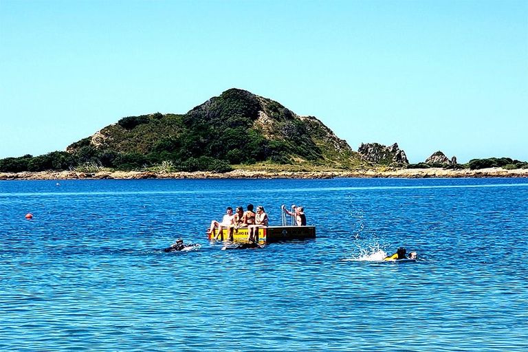 Photo of property in 9/20 Trent Street, Island Bay, Wellington, 6023