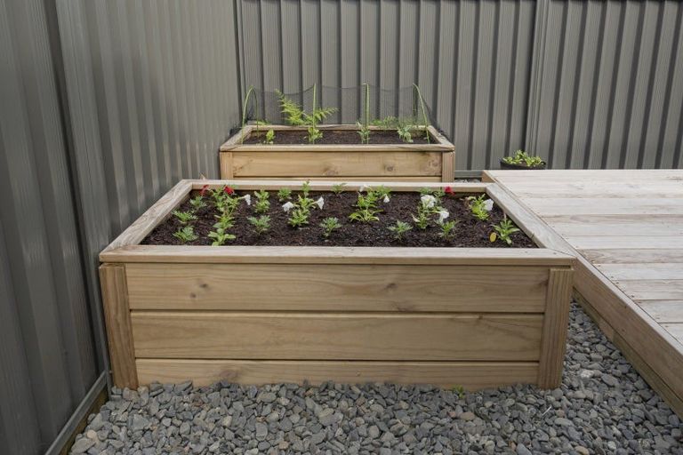 Photo of property in 72 Sentinel Avenue, Omokoroa, 3114