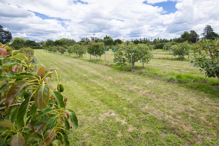 Photo of property in 547 Nelson Road, Lytton West, Gisborne, 4071