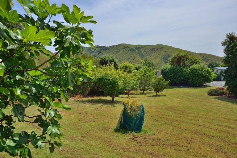 Photo of property in 225 Mahia East Coast Road, Mahia, 4198