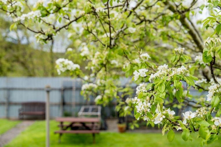 Photo of property in 20 Waldron Crescent, Green Island, Dunedin, 9018