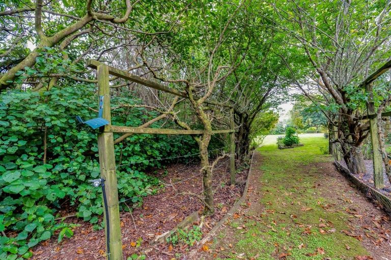 Photo of property in 26 Shelter Grove, Frankleigh Park, New Plymouth, 4310