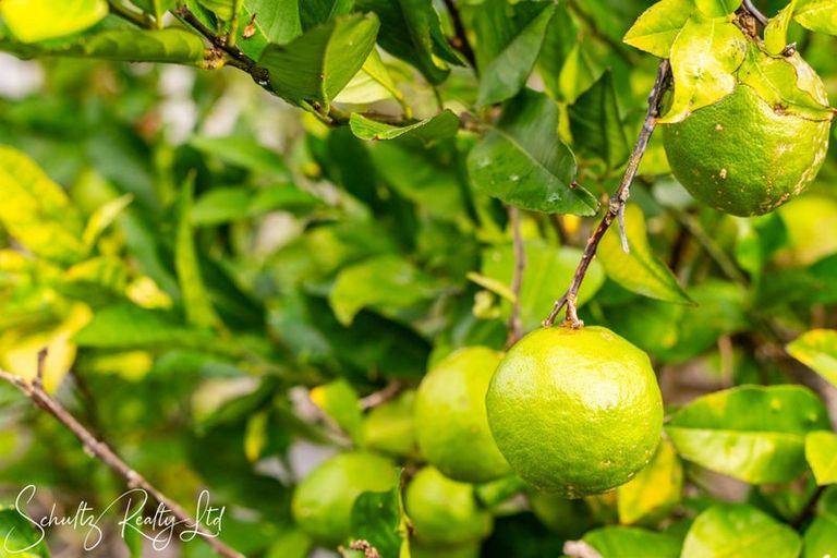 Photo of property in 30 Settlement Road, Kaiwaka, 0573