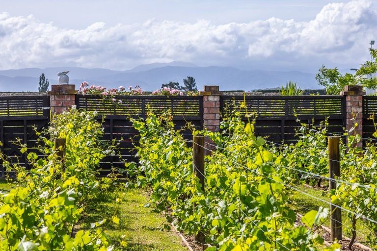 Photo of property in 56 Princess Street, Martinborough, 5711