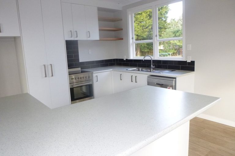 Photo of property in 60 Wakeman Street, Pahiatua, 4910