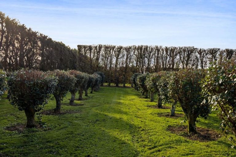 Photo of property in 16 Arthur Road, Paraite, New Plymouth, 4373