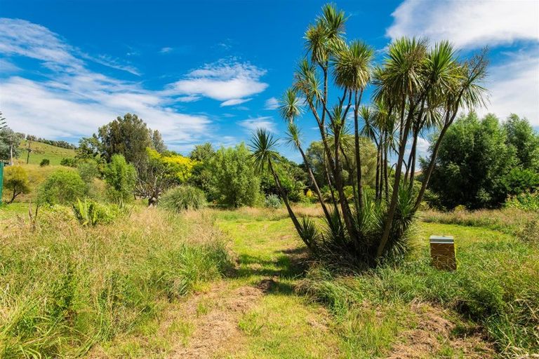 Photo of property in 47 Scarlys Way, Okitu, Gisborne, 4010
