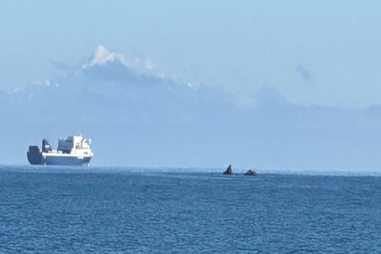 Photo of property in 50 Moa Point Road, Moa Point, Wellington, 6022