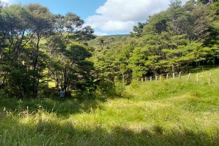Photo of property in 1762 Kohumaru Road, Peria, Kaitaia, 0482