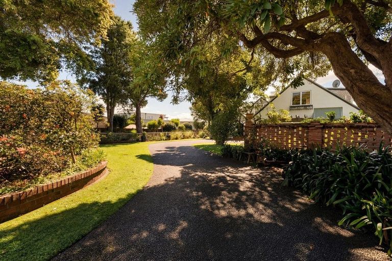 Photo of property in 16 Hinewa Road, Otumoetai, Tauranga, 3110
