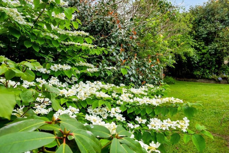 Photo of property in 26 Shelter Grove, Frankleigh Park, New Plymouth, 4310