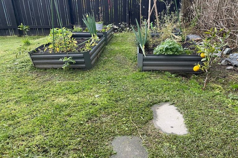 Photo of property in 1/2 Palm Court Drive, Glen Eden, Auckland, 0602