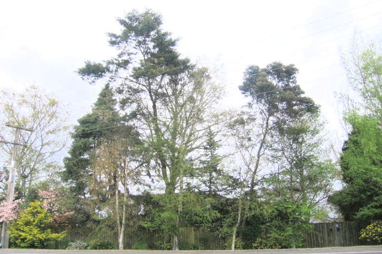 Photo of property in 112 State Highway 1, Waitahanui, Taupo, 3378