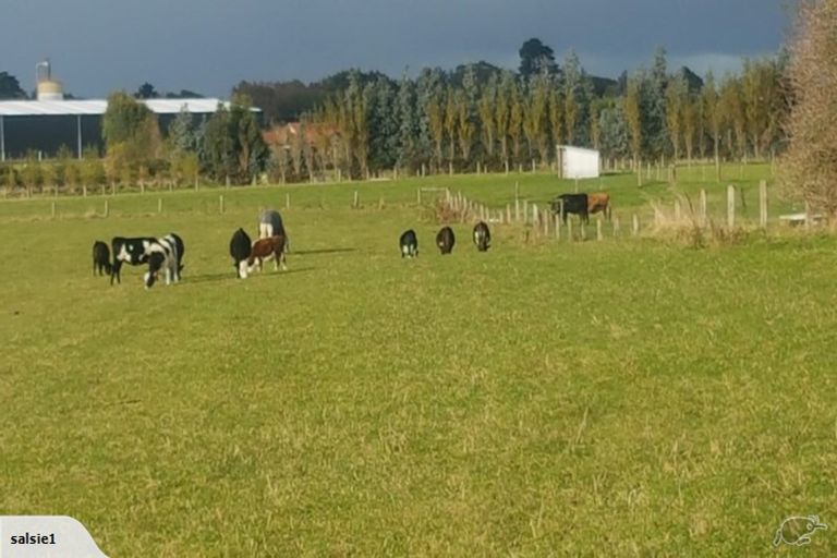 Photo of property in 244 Fairweather Road, Mill Road, Invercargill, 9872