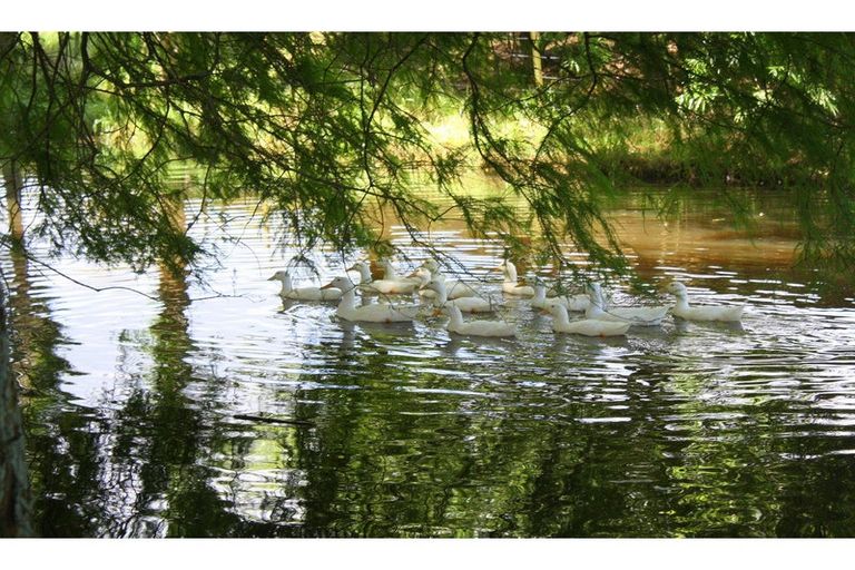 Photo of property in 360 Underwood Road, Wellsford, 0973