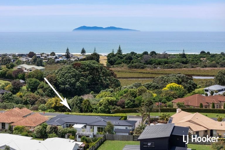 Photo of property in 121 Koutunui Road, Athenree, Katikati, 3177